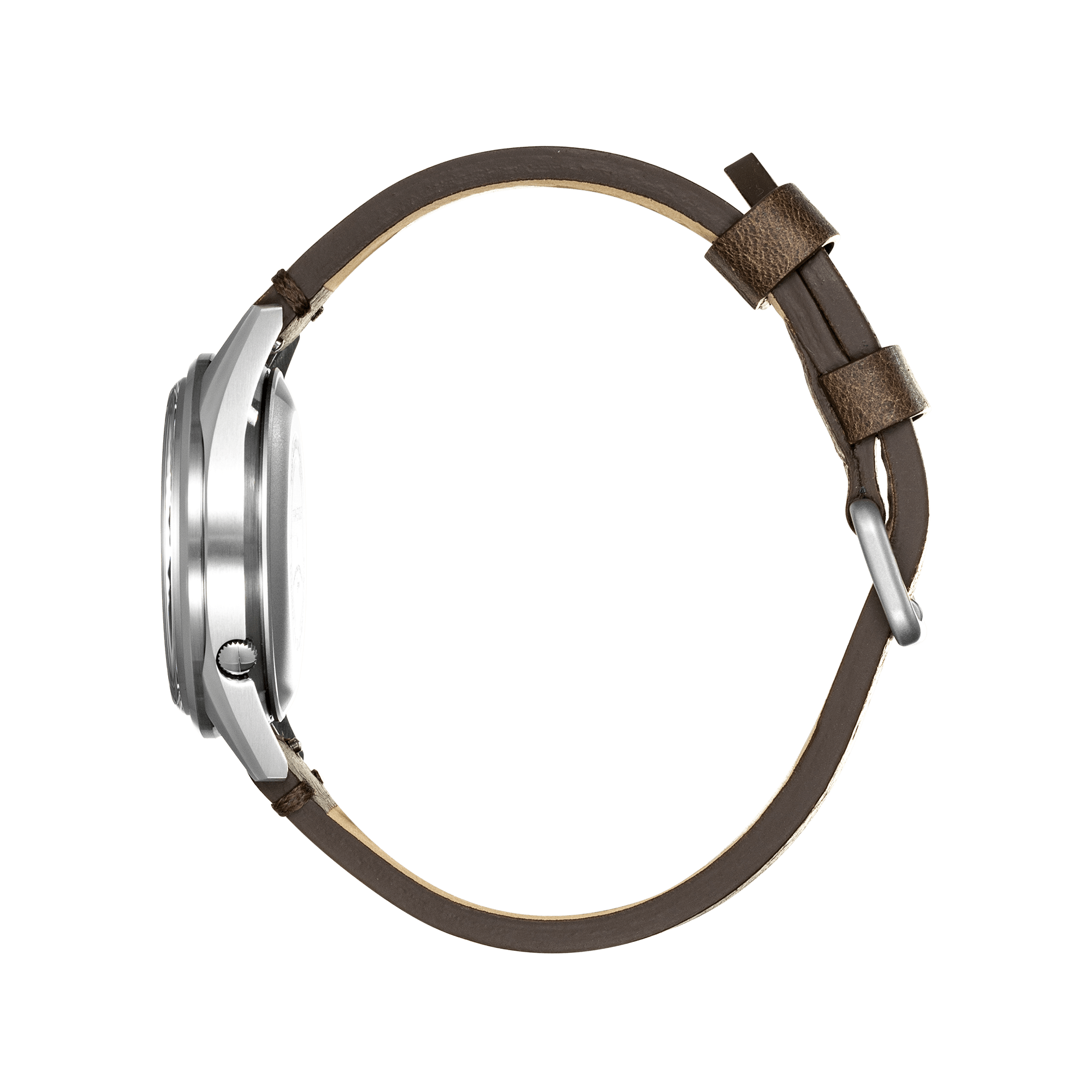 Rec Spec - White Popcorn - Praesidus