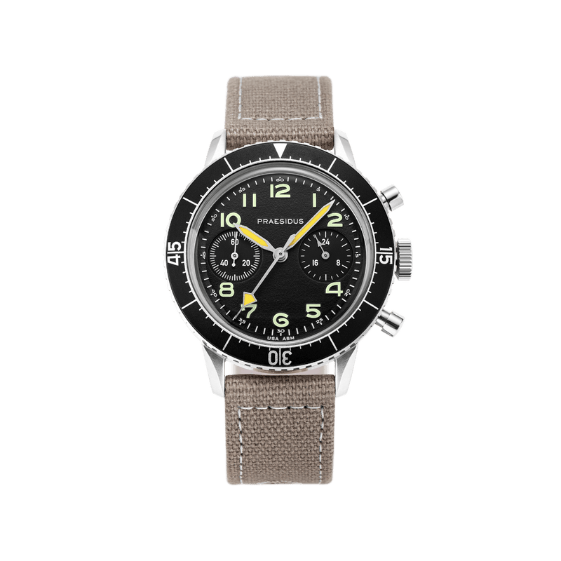 Type H - 75 - Light Gray Canvas - Praesidus