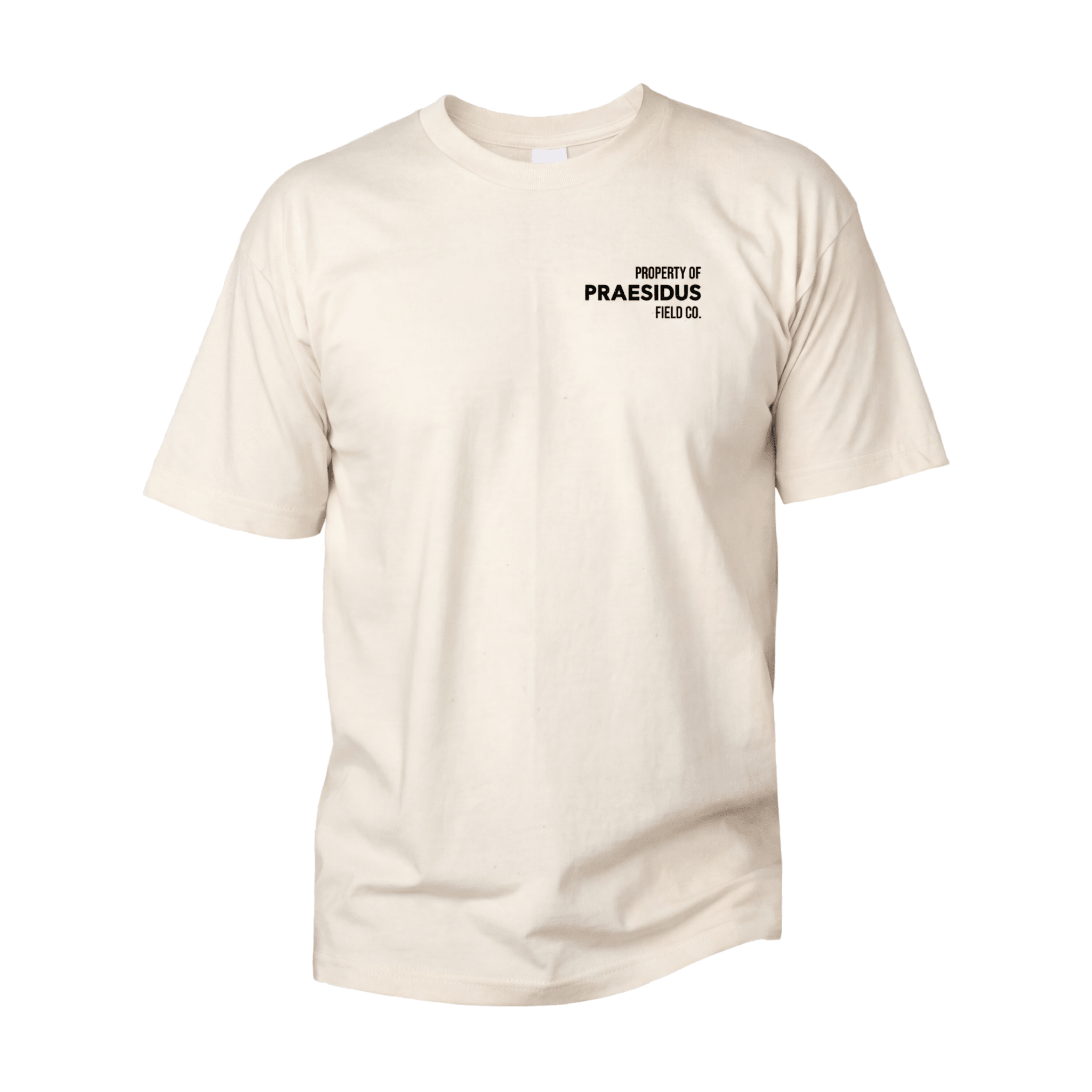 Guardian of Time Tee - Praesidus