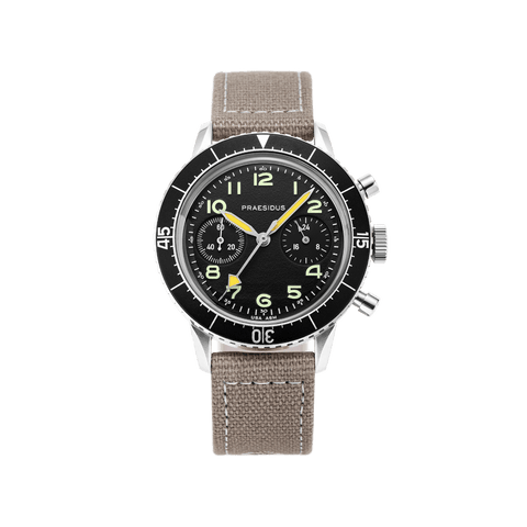 Type H - 75 - Light Gray Canvas - Praesidus